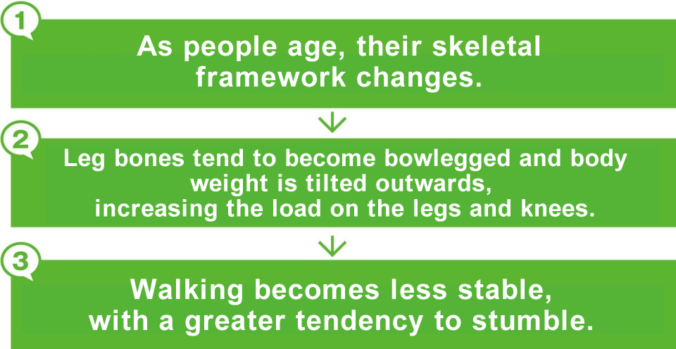 As people age, their skeletal framework changes., Leg bones tend to become bowlegged and body weight is tilted outwards, increasing the load on the legs and knees.→Walking becomes less stable, with a greater tendency to stumble.